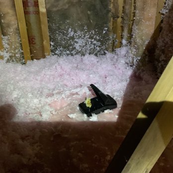Attic Pros - Pest Control Near Me - Oakland, California