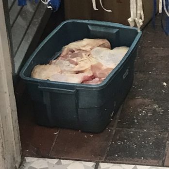 Kao Binh - Yep. That's a tub o' frozen chicken. Just chillin' on the floor. - Vietnamese Near Me - Westminster, California Kao Binh - Yep. That's a tub o' frozen chicken. Just chillin' on the floor. - Vietnamese Near Me - Westminster, California