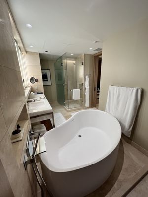 Park Hyatt Chicago by null