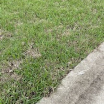 Allen's Sodding Service - Landscaping Near Me - Belleview, Florida