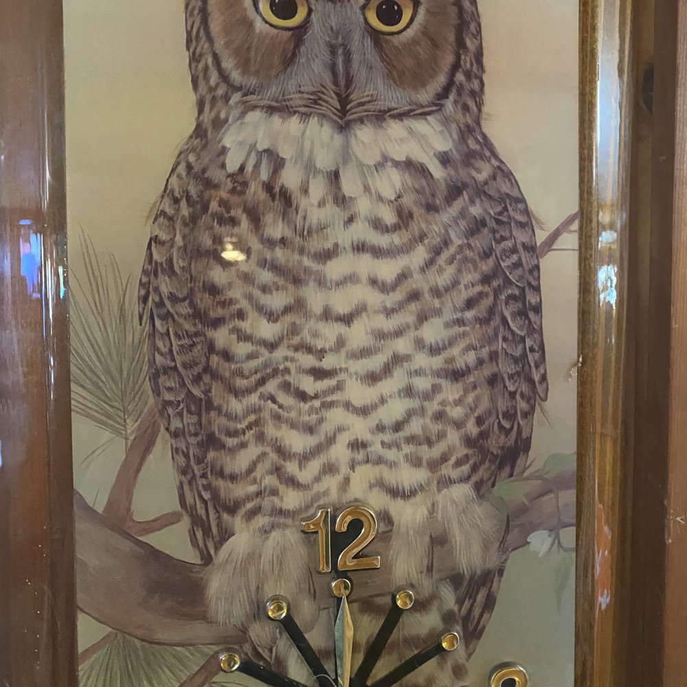 Owl Tavern - Owl clock - Bars Near Me - Lake Geneva, Wisconsin