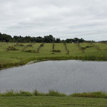 Monkey Hollow - Wineries Near Me - Saint Meinrad, Indiana Monkey Hollow - Wineries Near Me - Saint Meinrad, Indiana