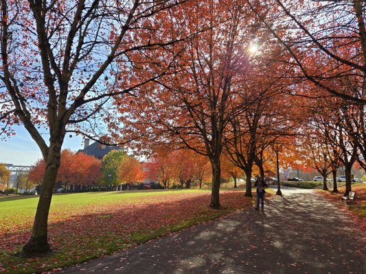 Kimpton RiverPlace Hotel by null Kimpton RiverPlace Hotel by null