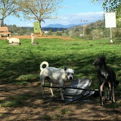 Redding Dog Park
