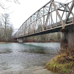 Skagit River Eagle Tours