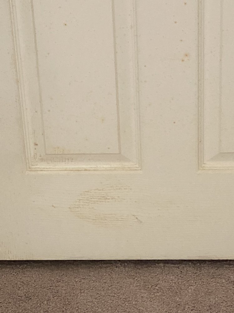 SOARD PROPERTIES Updated October 2024 10 Reviews 221 N Washington