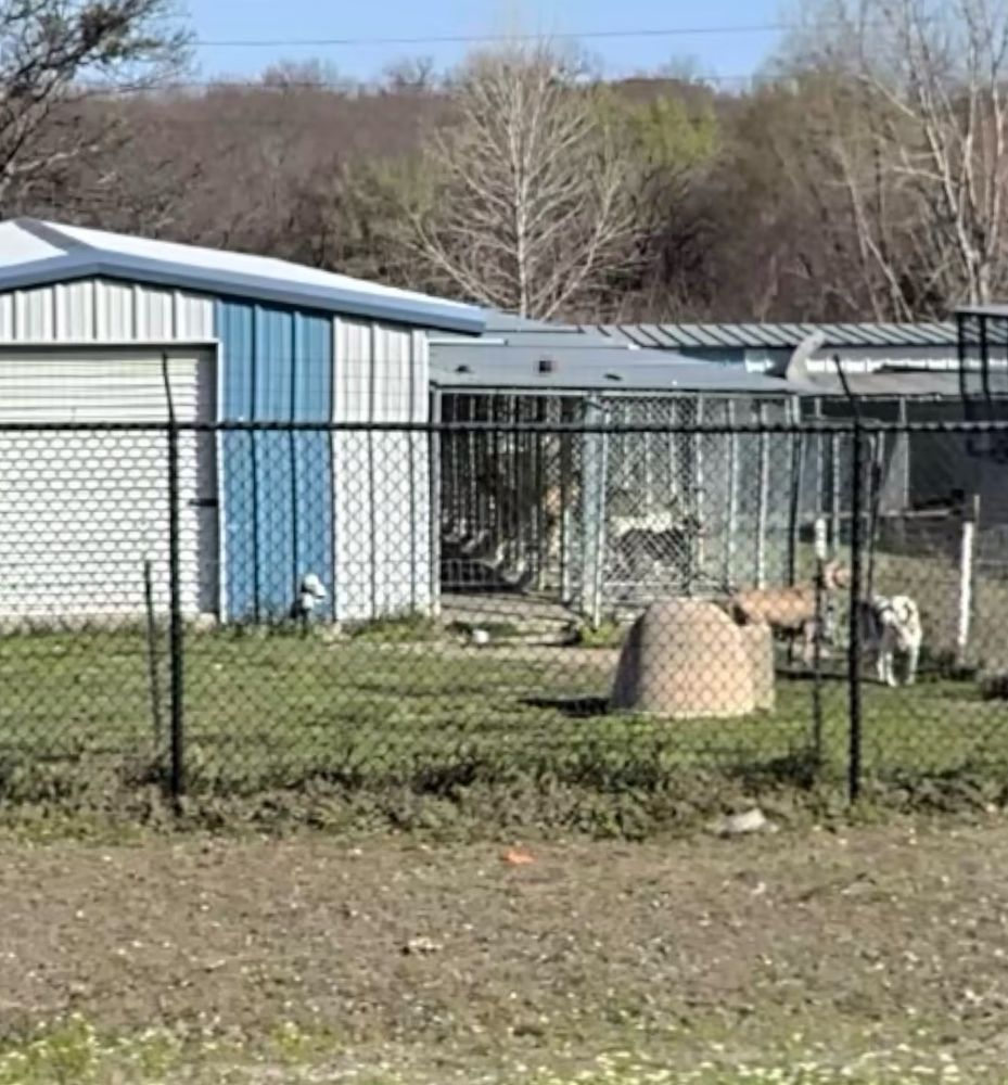 Camp Diggy Bones Image