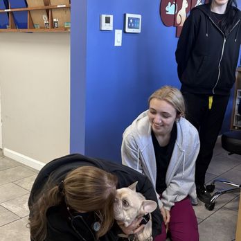 New All Creatures Veterinary Hospital - Kisses from Ace saying thank you to the staff. - Veterinarians Near Me - Vallejo, California New All Creatures Veterinary Hospital - Kisses from Ace saying thank you to the staff. - Veterinarians Near Me - Vallejo, California