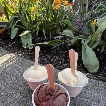 Sirena Gelato - Chocolate, mango & pistachio - Ice Cream & Frozen Yogurt Near Me - Kirkland, Washington