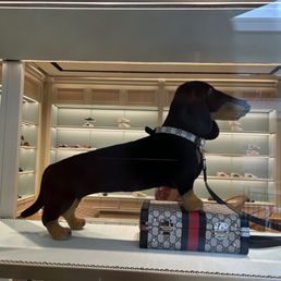 Boujee leash and collar. Boujee leash and collar.