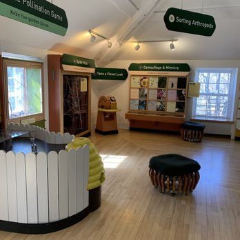 Staten Island Children's Museum - Bug area - Museums Near Me - Staten Island, New York