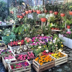 Vivero Septiembre - Primavera!