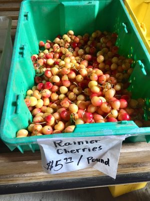 Lake Hills Farm Fresh Produce by null