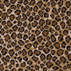 Kaoud Carpets and Rugs - Broadloom & Wall to Wall