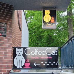 Kavárna CoffeeCat