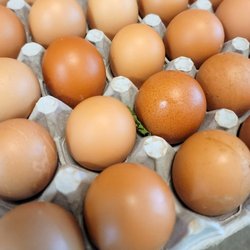 May May Catering - Chicken Balut