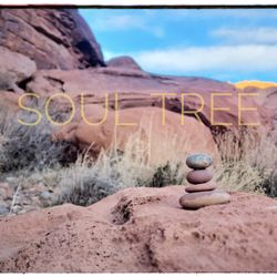 Soul Tree Counseling & Wellness
