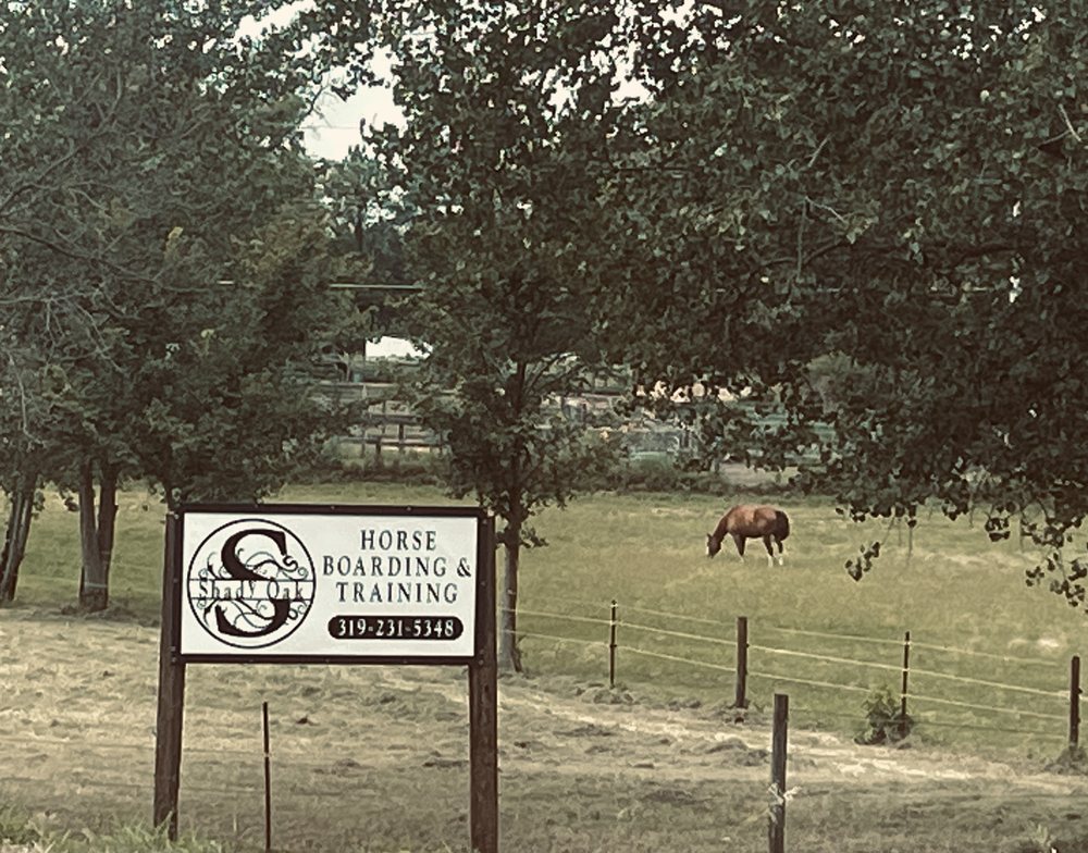 Shady Oak Horse Boarding - equestrian in Hudson, IA