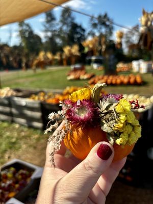 Harvest Moon Farm & Orchard by null