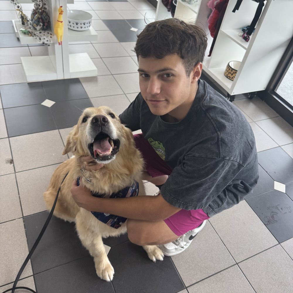 We Woof - Pet Groomers Near Me - Deerfield Beach, Florida We Woof - Pet Groomers Near Me - Deerfield Beach, Florida