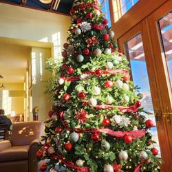 Coulter Family Dentistry - Tree