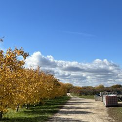 Maiden Rock Winery & Cidery - Orchard