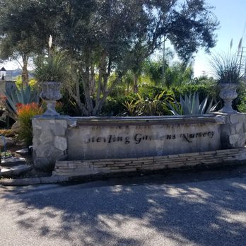 Sterling Gardens Nursery 39 Photos 32 Reviews Nurseries - Elegant Gardens Nursery Moorpark Ca 93021 Sterling Gardens Nursery 39 Photos 32 Reviews Nurseries - Elegant Gardens Nursery Moorpark Ca 93021