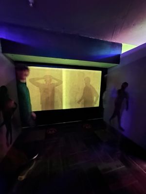 Ripley’s Illusion Lab by null