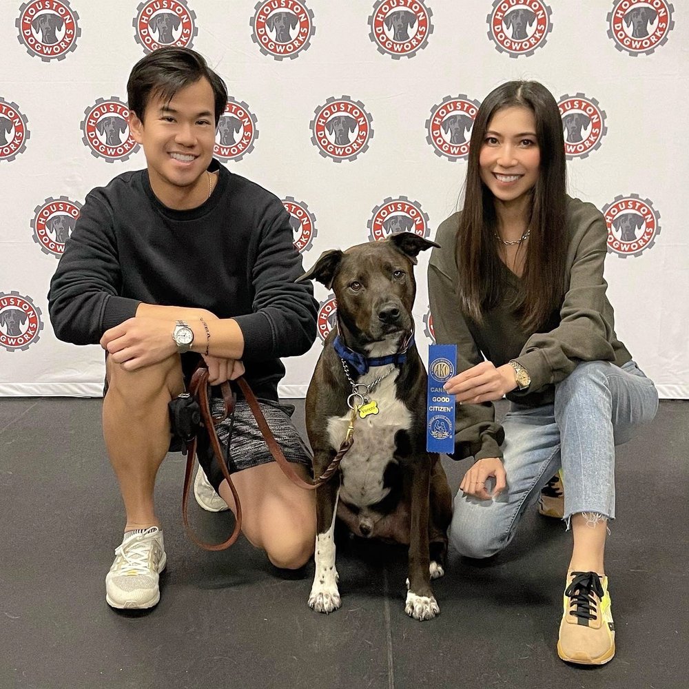 HOUSTON DOGWORKS 23 Photos & 12 Reviews 3110 Yale St, Houston, Texas Pet Training Phone