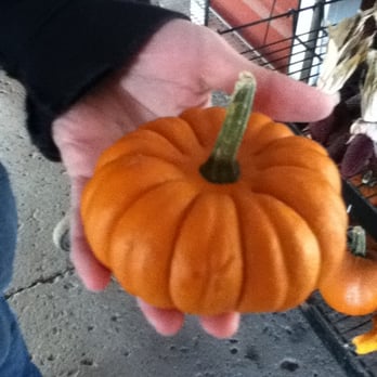 Story Farms - Fruits & Veggies Near Me - Catskill, New York Story Farms - Fruits & Veggies Near Me - Catskill, New York