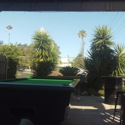 The Old Britannia - Outdoor Pool Table