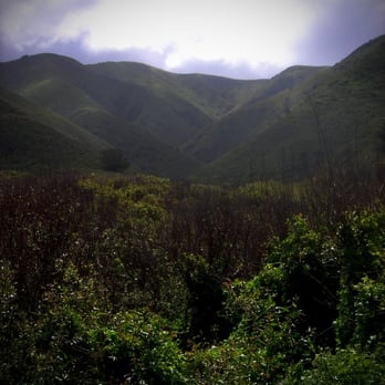 Garrapata State Park - Hiking Near Me