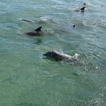 Barefoot Billy's - We had a great time! Watched a pod of dolphins for a good bit and then saw lobsters and fish while snorkeling. Will definitely do it again. - Rafting/Kayaking Near Me - Key West, Florida