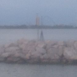 Battery Park Marina - A view of Cedar point at the Battery park Marina.