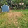 Photo of All Metro Stump Removal