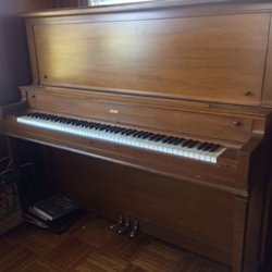 Sevan Takvoryan - Piano Tuner and Technician
