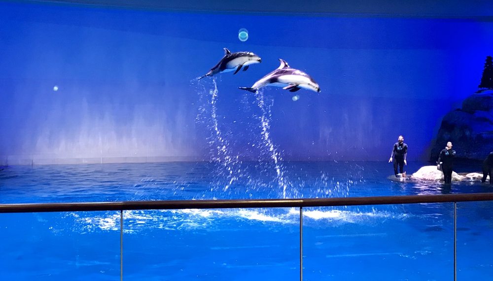 Shedd Aquarium 3645 Photos & 1798 Reviews Aquariums 1200 S Lake