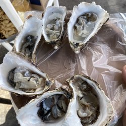 El Güero Mariscos - Half Dozen Oysters  ( W/ lemon & salt) 150 MXN $