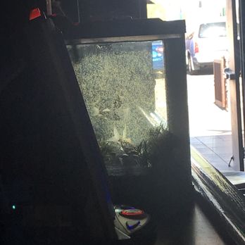 Castaways - Fish at the bar! - Sports Bars Near Me - Phoenix, Arizona