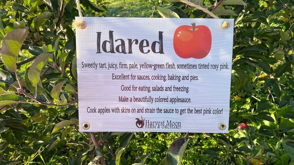 Harvest Moon Farm & Orchard by null