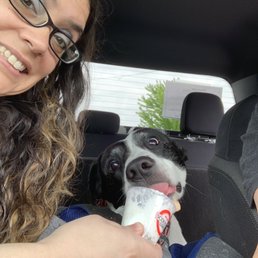 Puppers eating a puppy latte Puppers eating a puppy latte