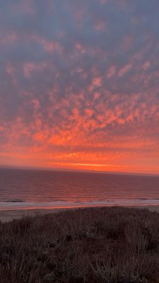 Sunset State Beach by null