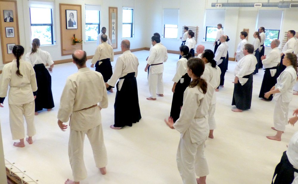 Twin Cities Aikido Center - social services organization in Saint Paul, MN