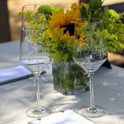 Sentivo Vineyards - Suisun Valley 