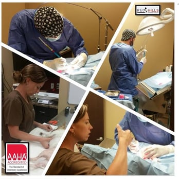 Red Hills Veterinary Hospital - Veterinarians Near Me - Gillette, Wyoming Red Hills Veterinary Hospital - Veterinarians Near Me - Gillette, Wyoming