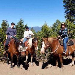 Camp Richardson's Corral - Bucket, Cisco and Tex on a beautiful day!