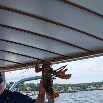 Finestkind Scenic Cruises - Female lobster - Boating Near Me - Ogunquit, Maine