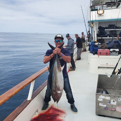 American Angler Sportfishing by null