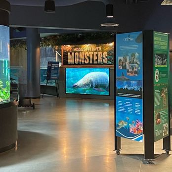 OdySea Aquarium - Aquariums Near Me - Scottsdale, Arizona OdySea Aquarium - Aquariums Near Me - Scottsdale, Arizona