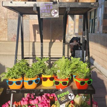 Trader Joe's - exterior - Grocery Near Me - Manhattan Beach, California